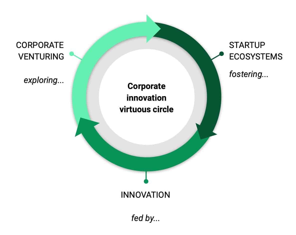 innovation circle corporate venturing