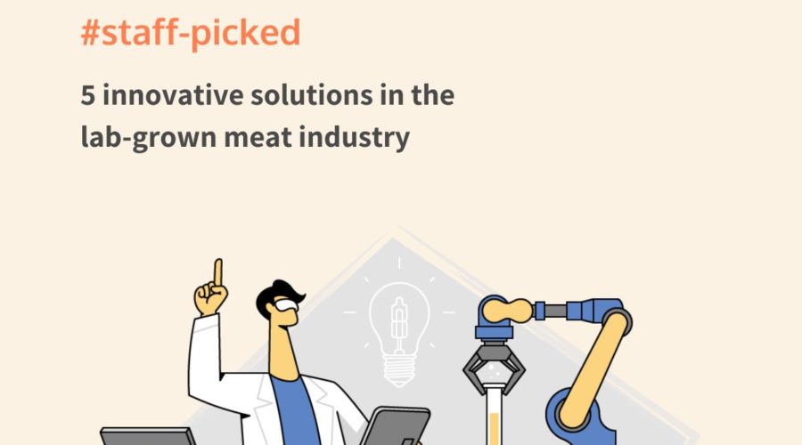 Lab-grown meat corporate innovation