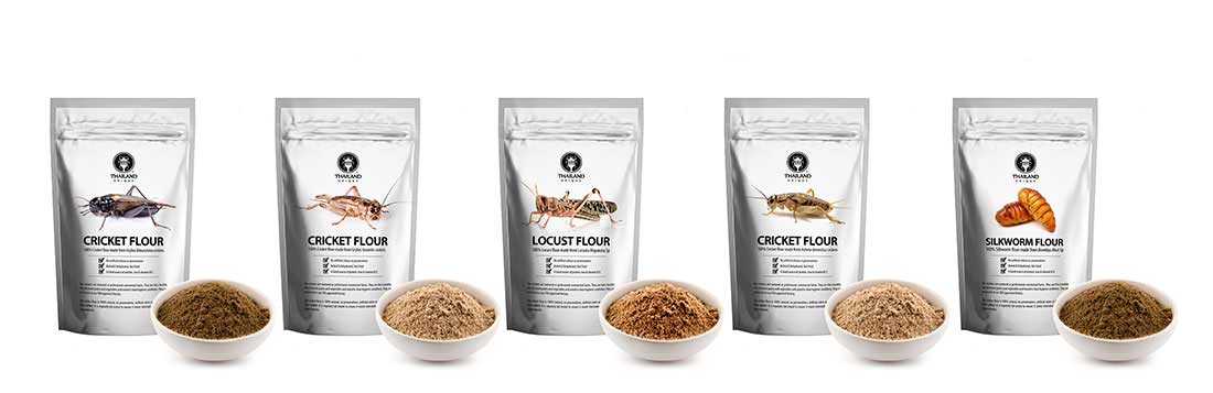 insect protein powders
