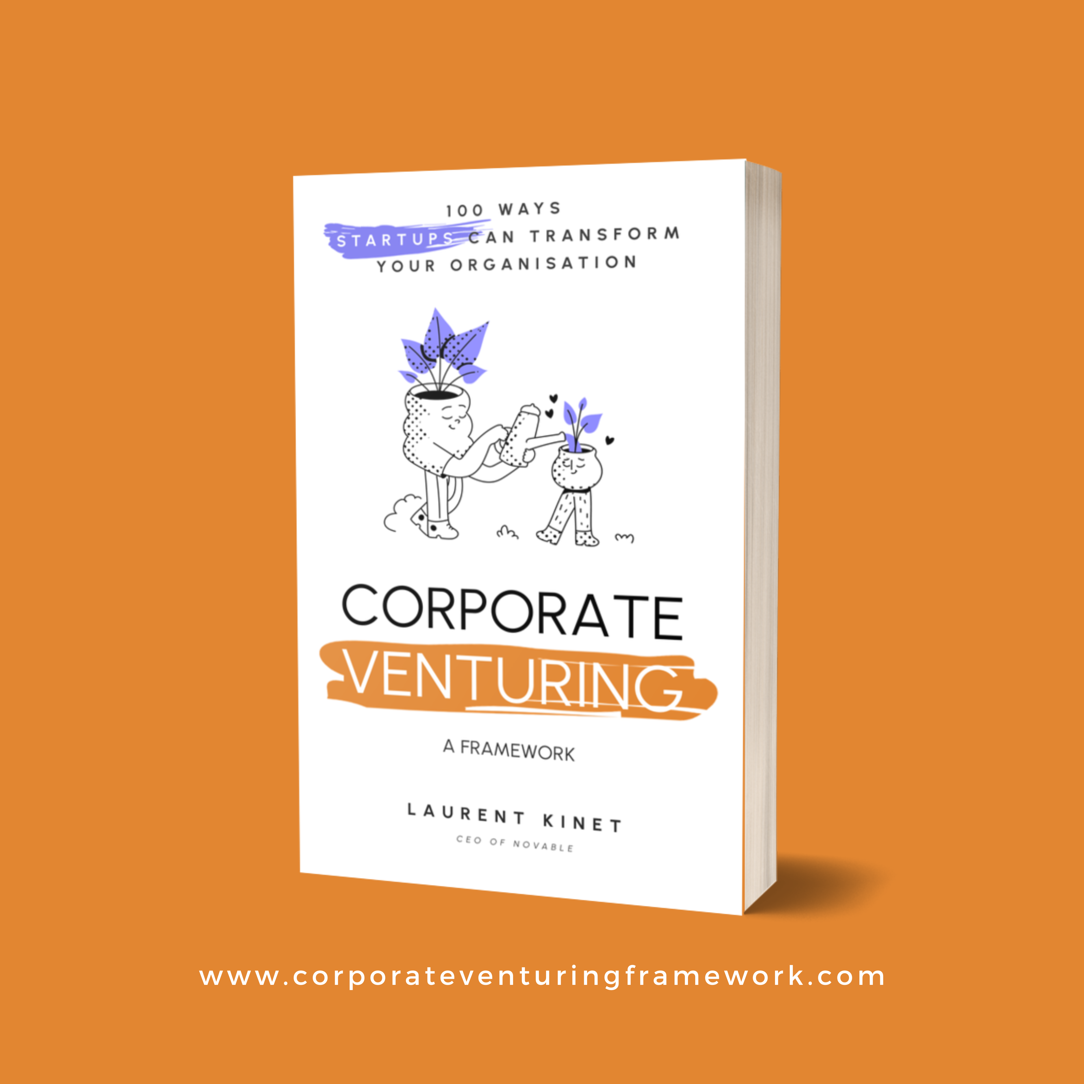 corporate venturing framework