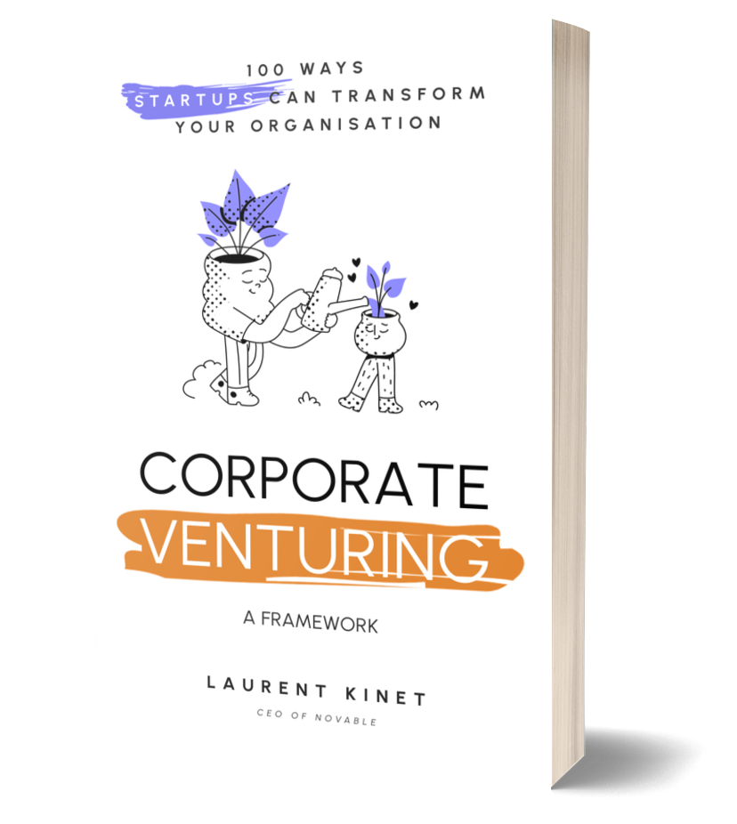 Corporate Venturing Framework