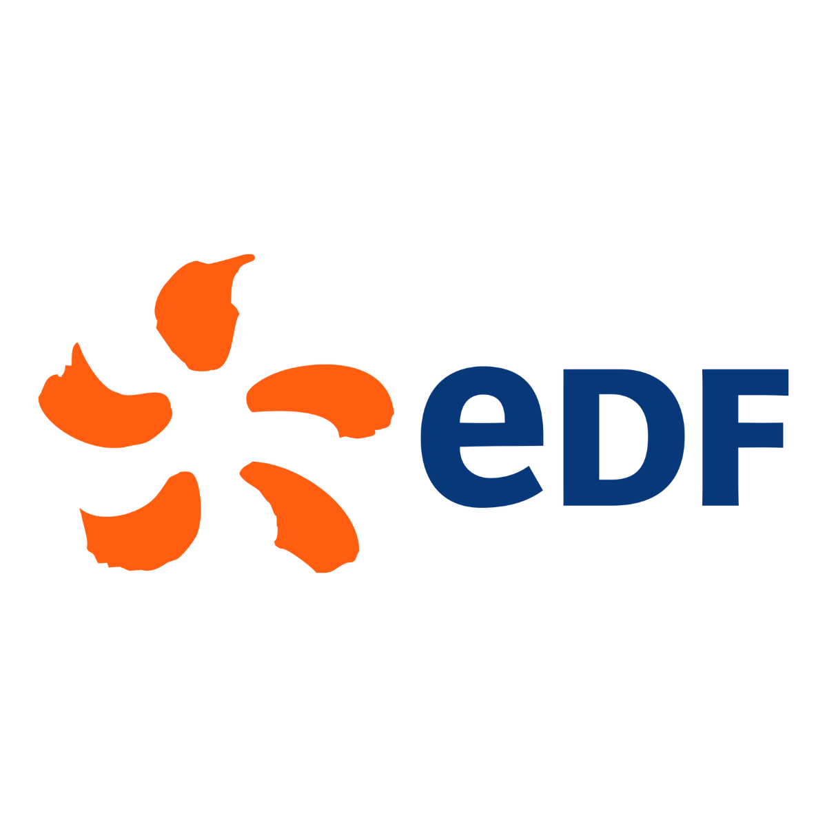 EDF logo